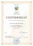 certificate.jpg